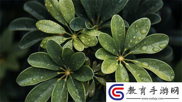 水蜜桃唇蜜嘟嘟唇