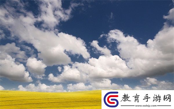露露亞洲版和國際版的區(qū)別