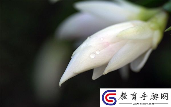 他師徒多胎撐著腰胎腹下墜