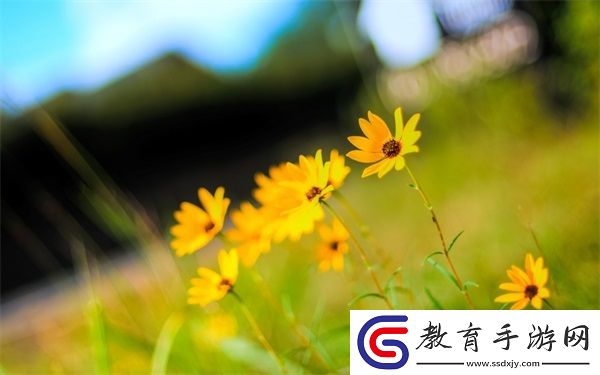 競爭對象