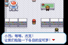 口袋妖怪火紅中文珍藏版