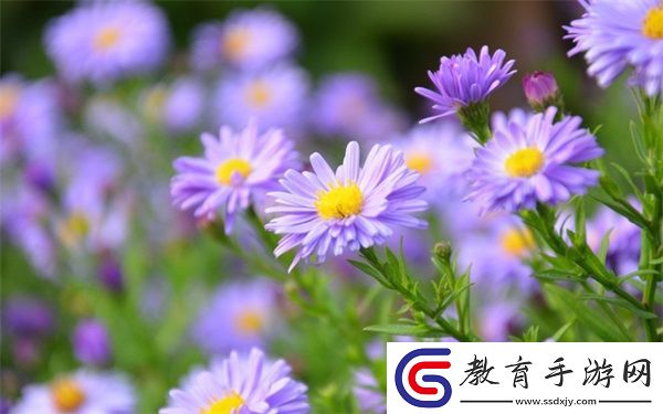 妻子同意三個人一起活動怎么辦
