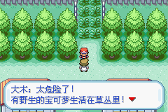 口袋妖怪火紅中文珍藏版