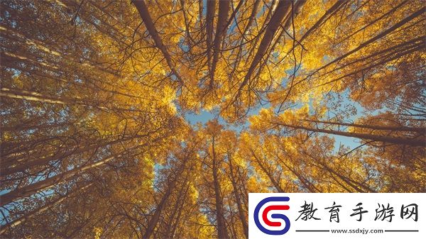 OVO食肉家取報告3