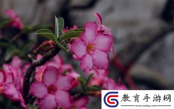 四叔一次又一次索取盛年豈
