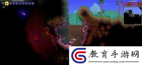 泰拉瑞亞災厄wiki怎么玩