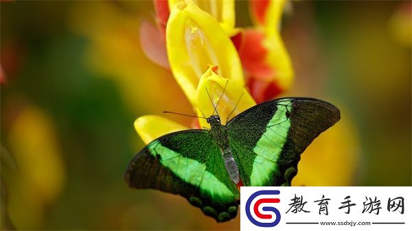 69精華國(guó)產(chǎn)精華液好用嗎