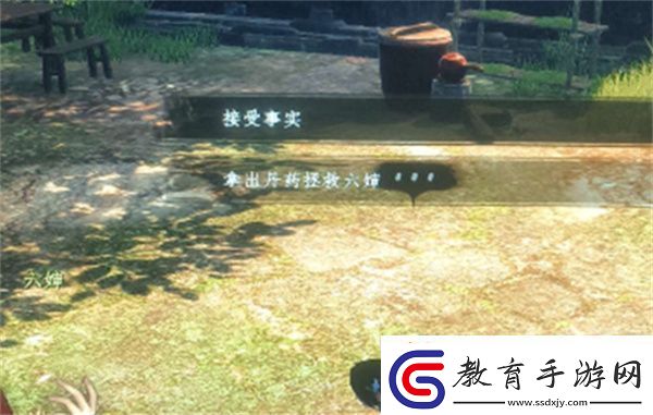 下一站江湖2六嬸如何救治