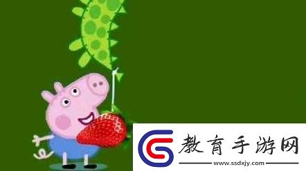 小豬視頻草莓視頻