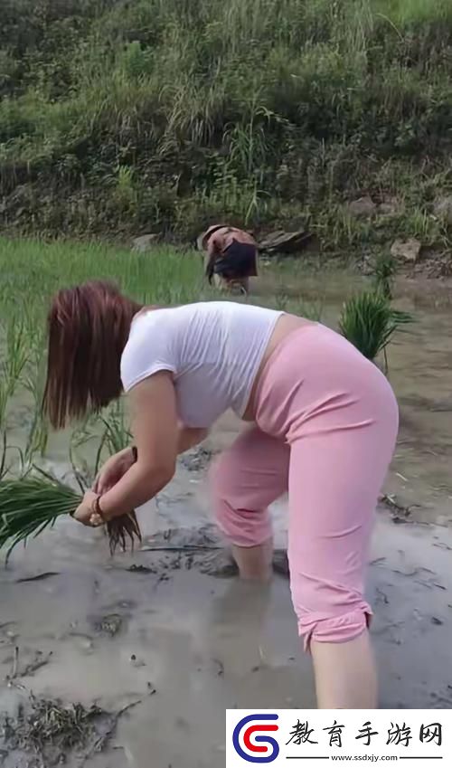 耕云播雨