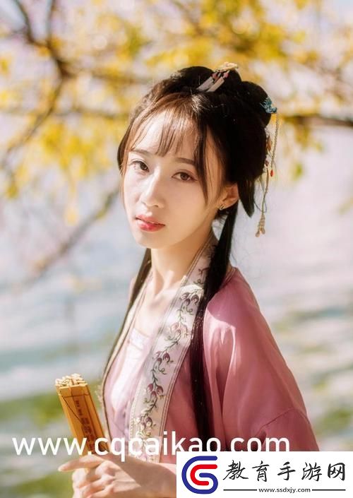混亂小鎮(zhèn)售票員用B檢票系統(tǒng)探索智能化售票新路徑柯林