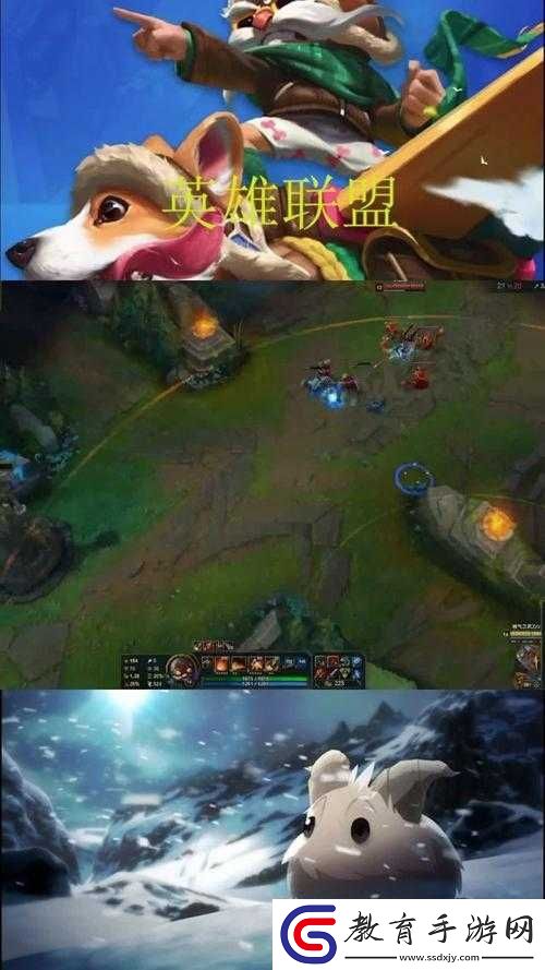 雙龍戲珠