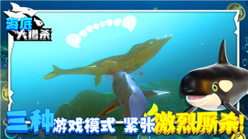 波西亞時光全人物好感攻略——提升與每個角色關(guān)系的有效策略與建議