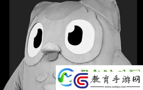 多鄰國貓頭鷹去世上熱搜