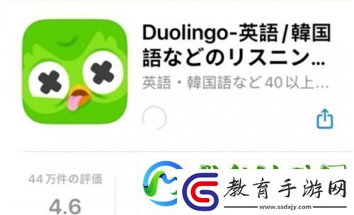 多鄰國貓頭鷹去世上熱搜